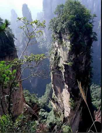 長沙出發(fā)到張家界溶洞奇觀黃龍洞、國家森林公園、袁家界、峰林之王天子山三日游（早班）