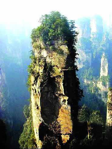 張家界國(guó)家地質(zhì)森林公園、黃石寨、金鞭溪休閑一日游