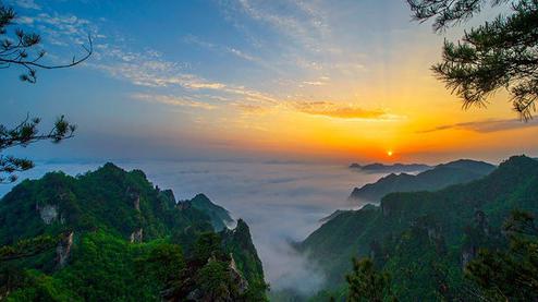 張家界森林公園（金鞭溪、袁家界、楊家界、天子山、十里畫廊）住山上2天1游（可看日出）